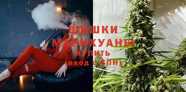 крисы Пестово