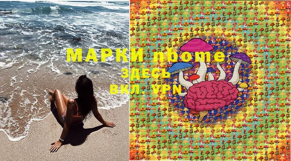 крисы Пестово