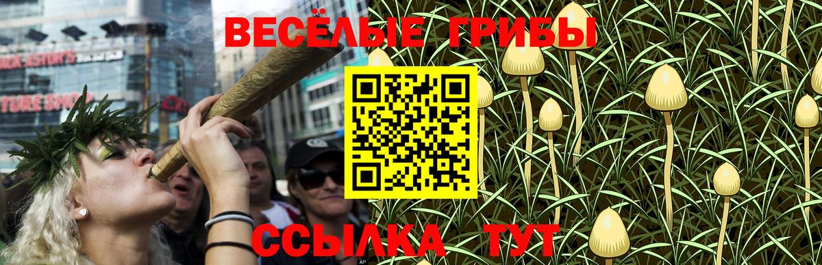 где найти   Вход с VPN  Вязьма  Галлюциногенные грибы MAGIC MUSHROOMS 