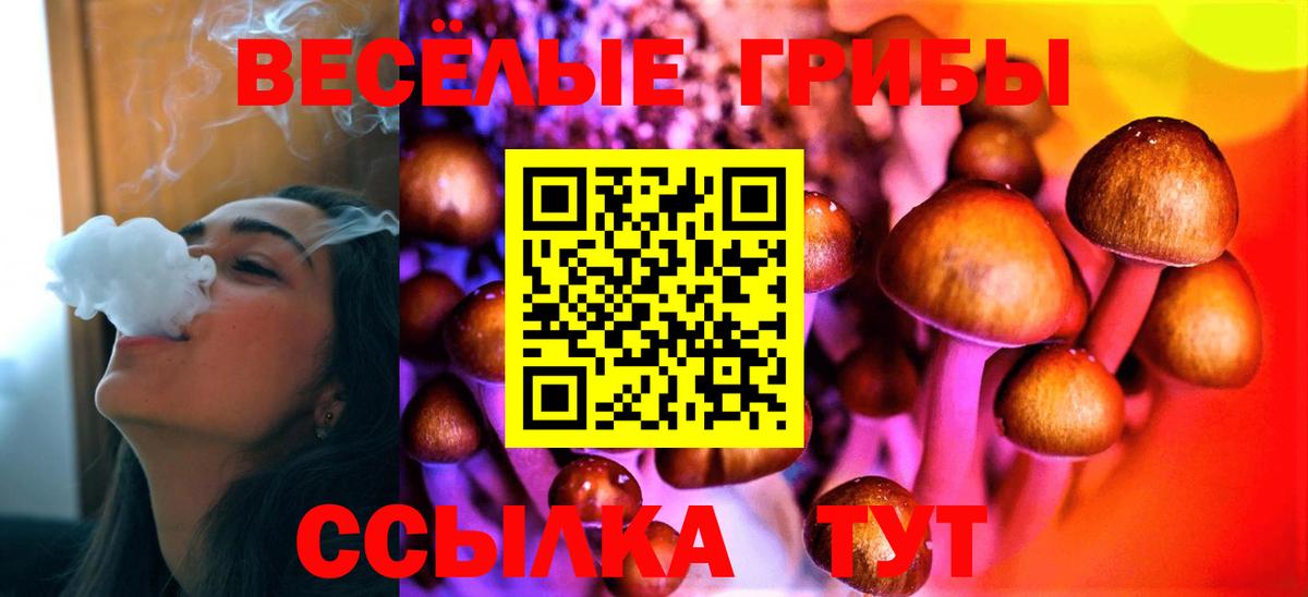 Галлюциногенные грибы мухоморы  Вязьма 